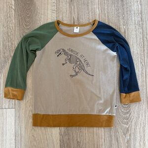 Little & Lively “Jurassic at heart” pullover - 5/6T